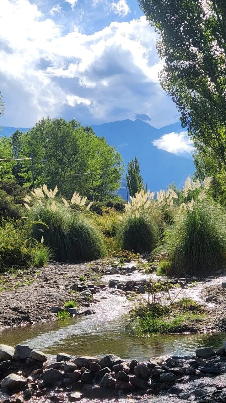 Rincón del Plata General