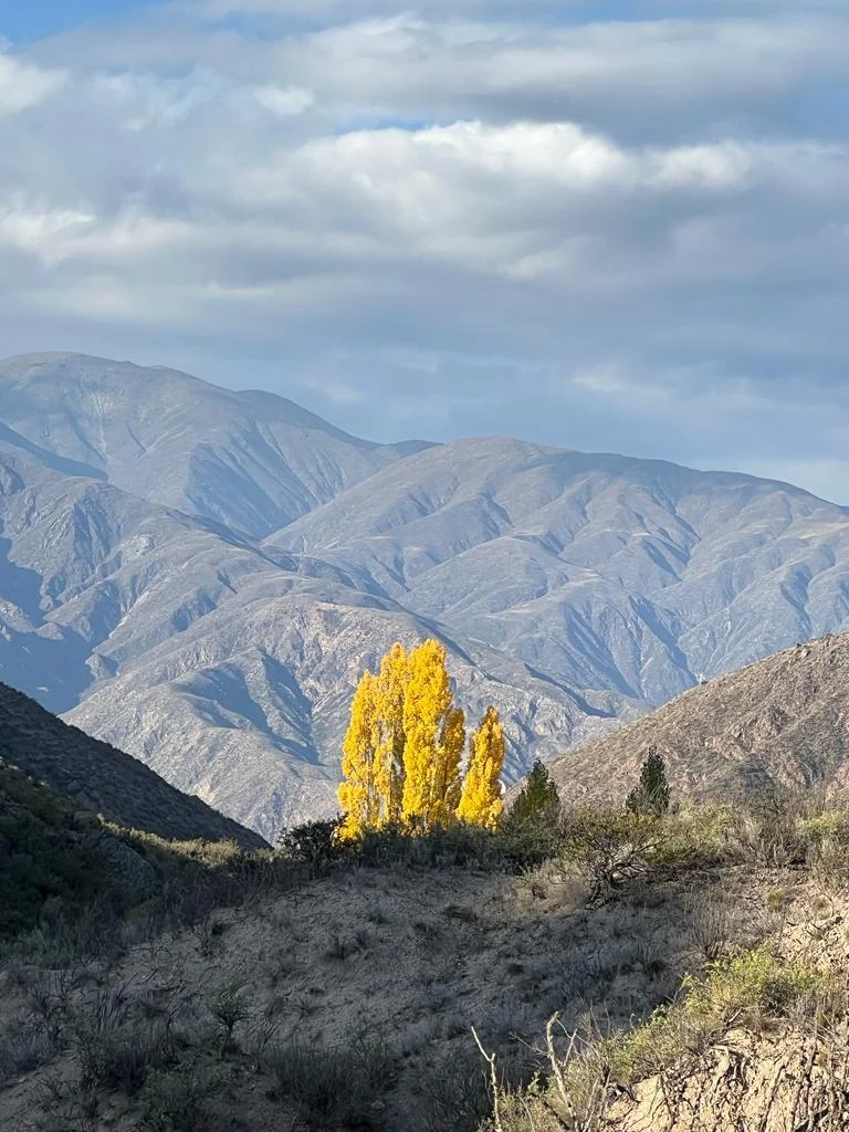 Rincón del Plata Patio